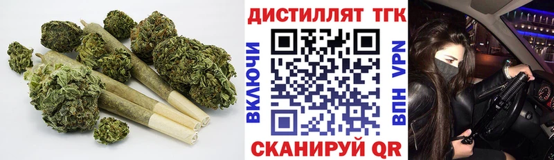 цены   Междуреченск  ТГК концентрат 