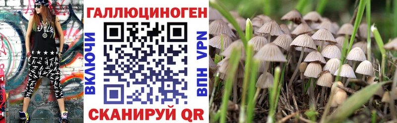 Галлюциногенные грибы GOLDEN TEACHER  Междуреченск 